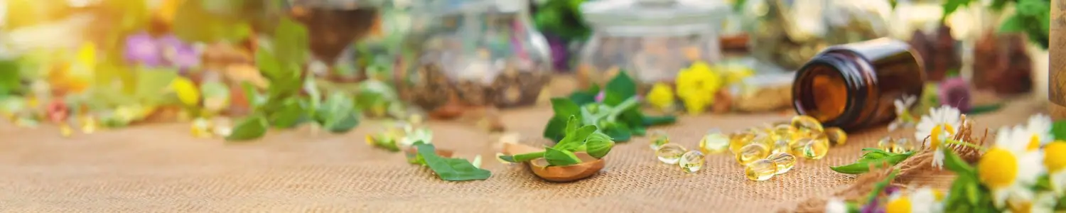 Jeż pigmejski: setup terrarium i dieta owadożerna