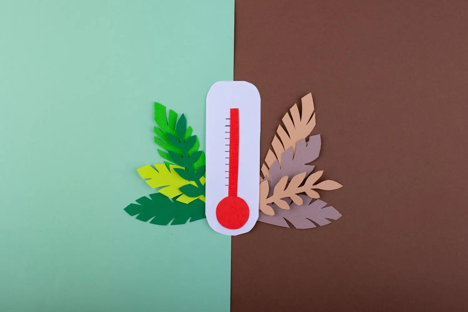 Boa tęczowy: system pomiaru temperatury i termostaty