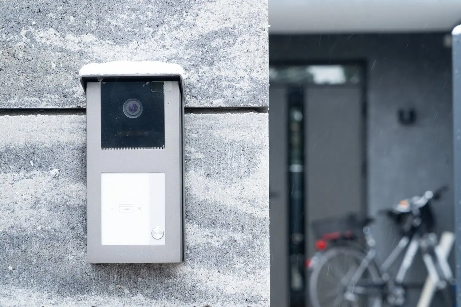 Domofony dla zwierząt: instalacja i programowanie funkcji