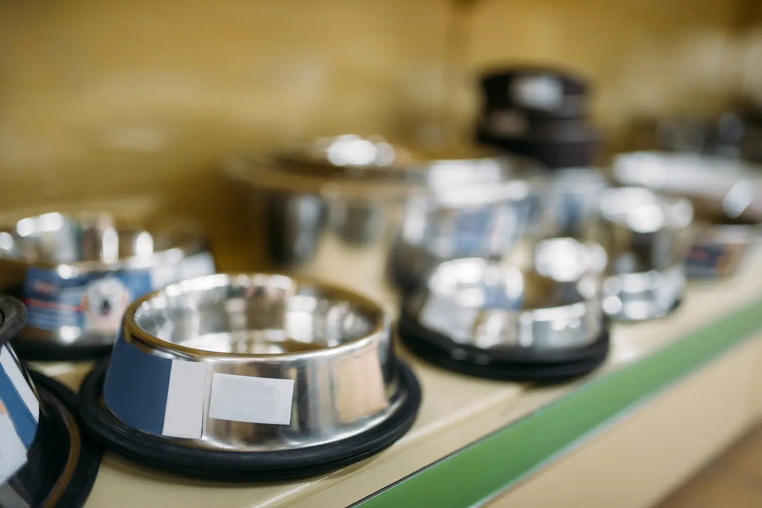 Miski ceramiczne vs stal nierdzewna vs plastik: materiały bezpieczne dla zwierząt